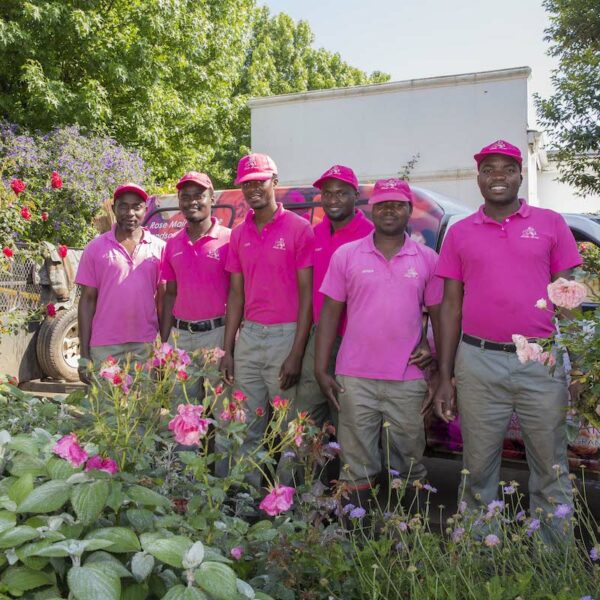 Bella Rosa Flowers - Online Shop Hilton - KZN Midlands - Florist - Flowers Arrangements