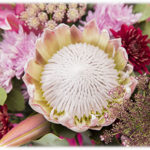 Bella Rosa Flowers - Online Shop Hilton - KZN Midlands - Florist - Flowers Arrangements