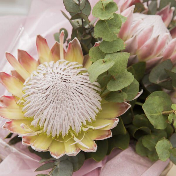 Bella Rosa Flowers - Online Shop Hilton - KZN Midlands - Florist - Flowers Arrangements