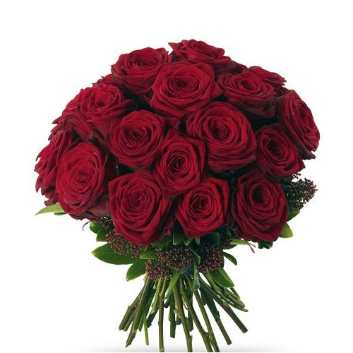 Valentine Roses - bella-rosa-flowers